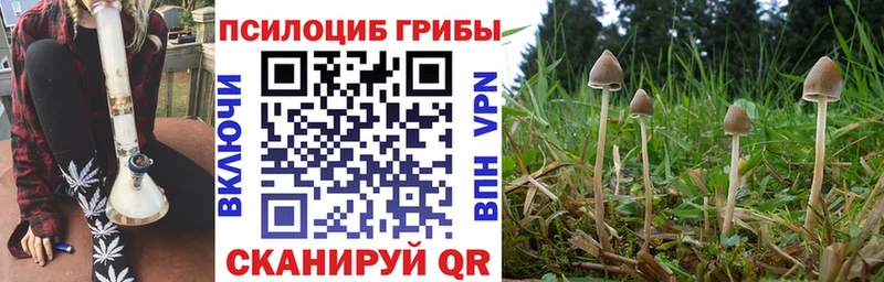 Галлюциногенные грибы MAGIC MUSHROOMS  Касли 