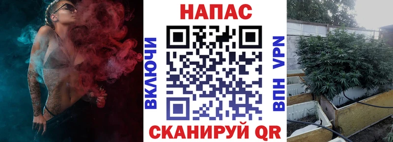 цена наркотик hydra маркетплейс МАРИХУАНА OG Kush Касли
